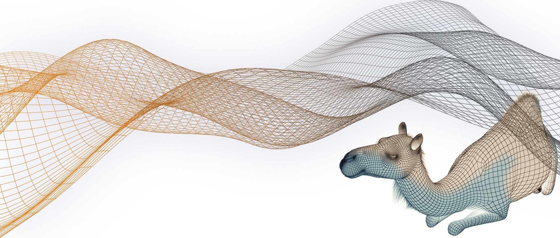 background camelcoin